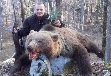 Bear hunting in Slovenia and Croatia