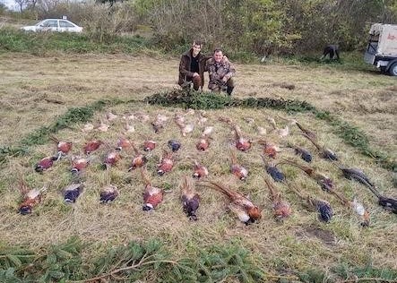 Lepsény-Mezőszentgyörgy Hunting Association