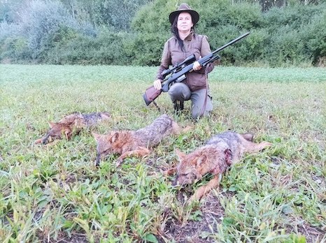 Fox, jackal hunting packages in Szolnok megye, Central Hungary