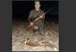 Fox, jackal hunting packages in Szolnok megye, Central Hungary