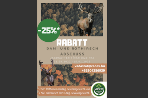 Reg Stag and Fallow Buck Hunting, with Discounts, at Vadex, Western Hungary