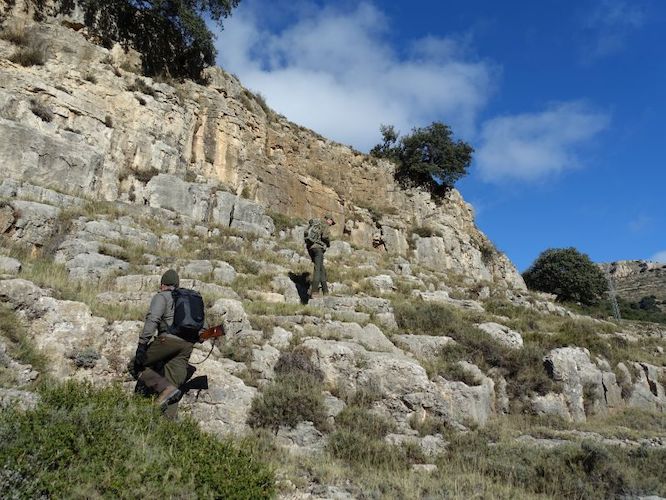 Beceite Ibex hunt in Spain