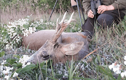 Romania Hunting Outfitter