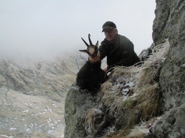 Big Chamois hunt in the sunny side of Romania