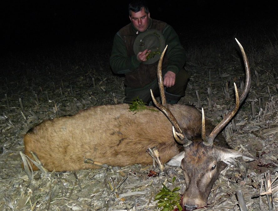 Somogysárdi Nyíres Hunting Co. – Western Hungary