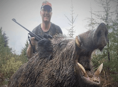 Wildboar stalking hunt in Turkey