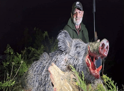 Wildboar stalking hunt in Turkey